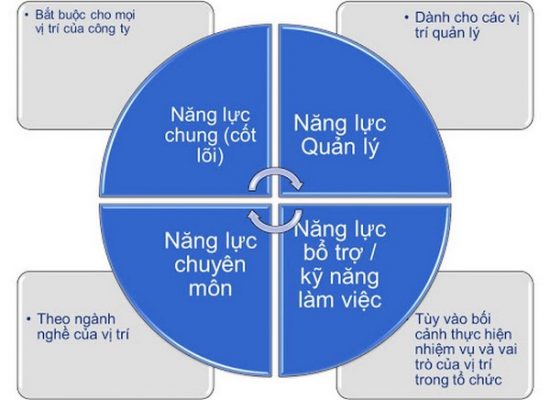 Khung năng lực lãnh đạo là gì?