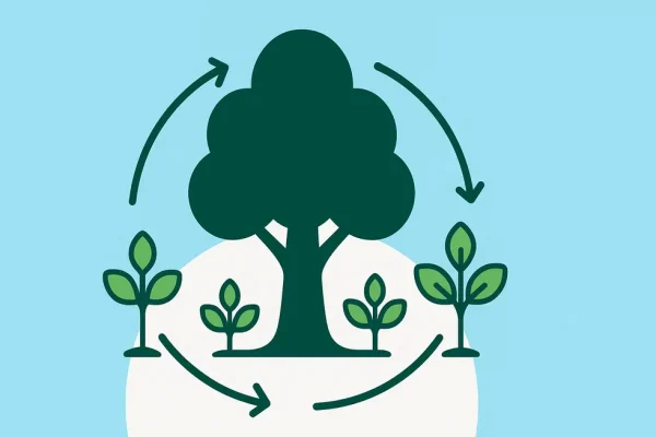 Hình ảnh một cây cổ thụ tượng trưng cho sự phát triển bền vững trong ngành đào tạo quản lý.